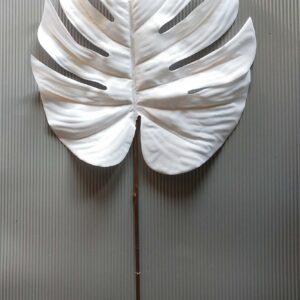 Monstera biała