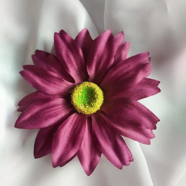 Gerbera 2025-26