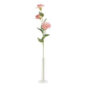 Eustoma różowa