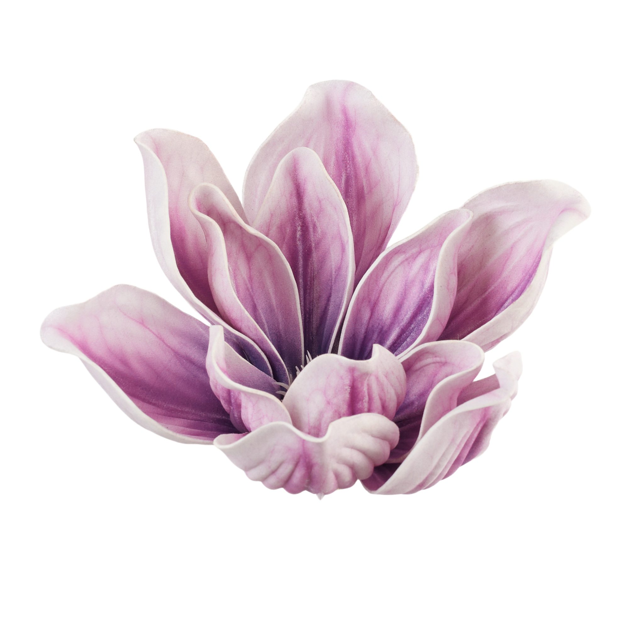 magnolia r贸偶owa pianka 15 cm