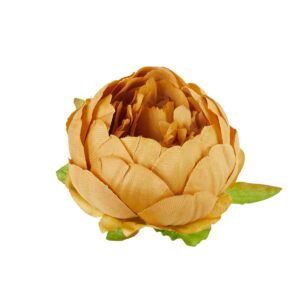 Piwonia musztardowa