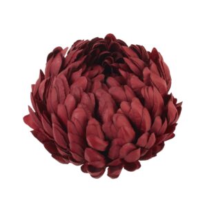 chryzantema bordo 14 cm