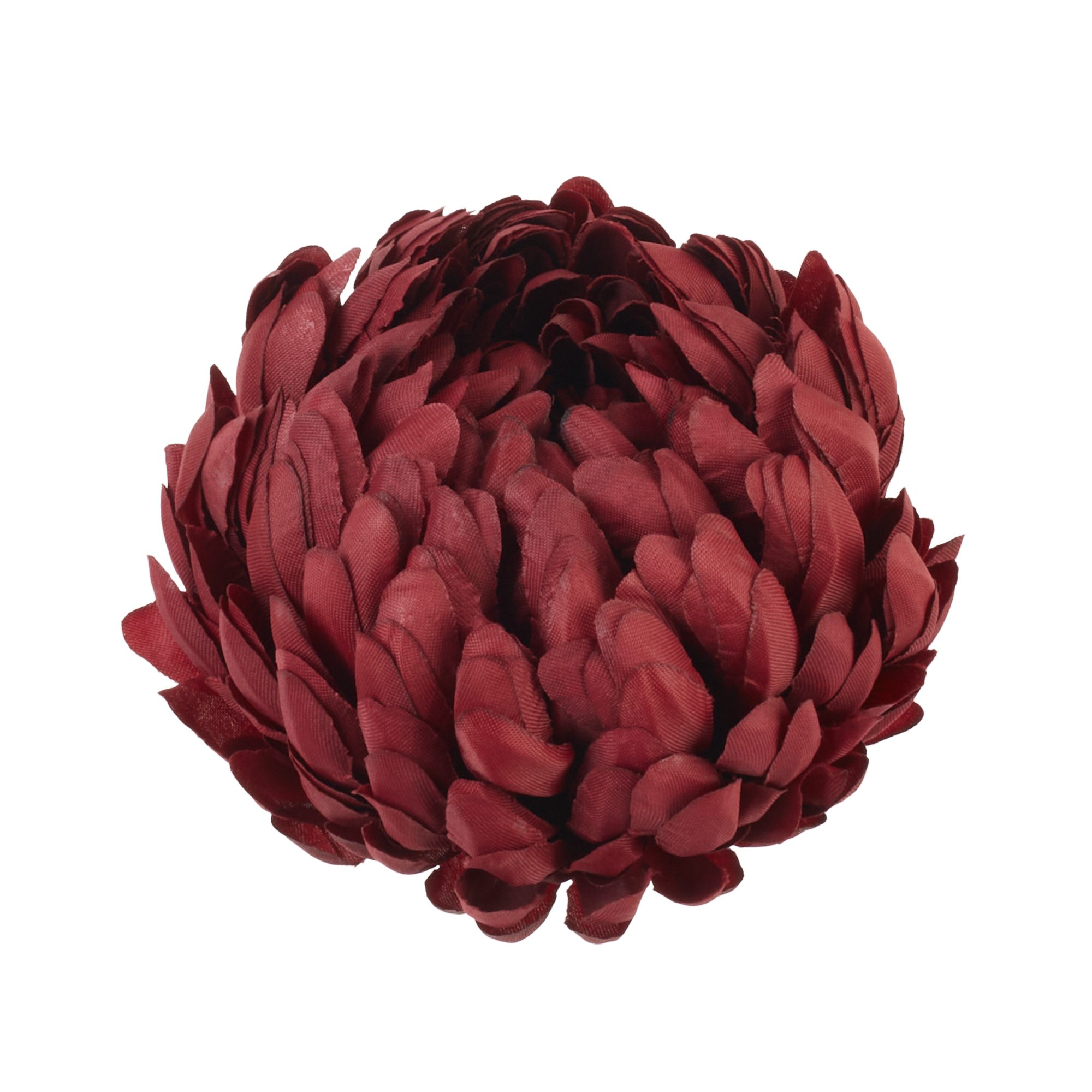 chryzantema bordo 14 cm