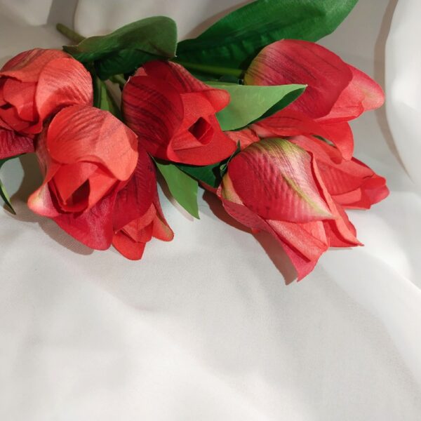 Tulipan bukiet czerwony