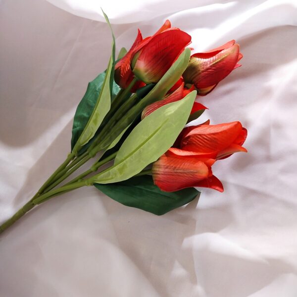 Tulipan bukiet czerwony - obrazek 2
