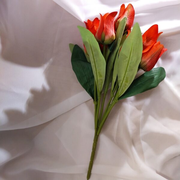 Tulipan bukiet czerwony - obrazek 3