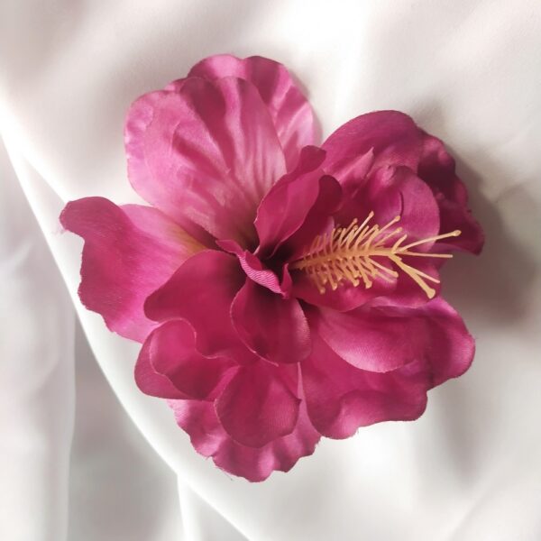 Hibiskus ciemny róż