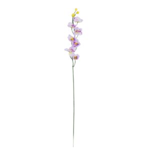 Storczyk fioletowy 72 cm
