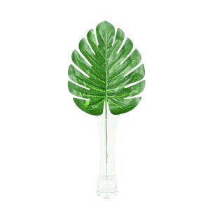Monstera zielona 30 cm