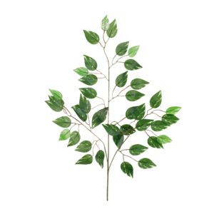 liść fikusa zielonego z białymi akcentami 60 cm