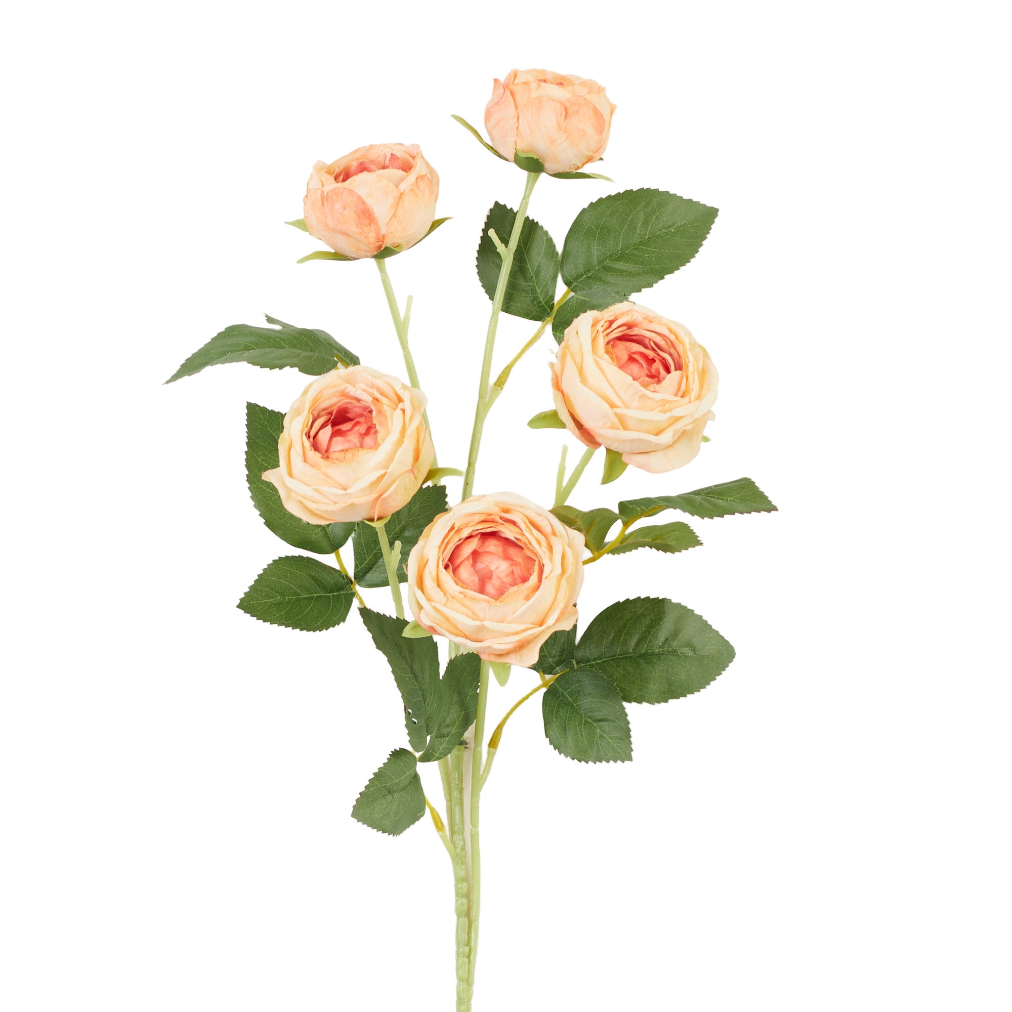 Peonia ga艂膮zka 66 cm - obrazek 2