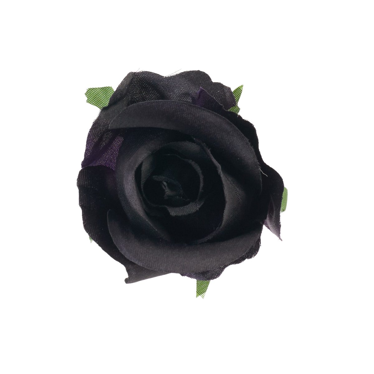 Róża czarny - pąk 7 cm