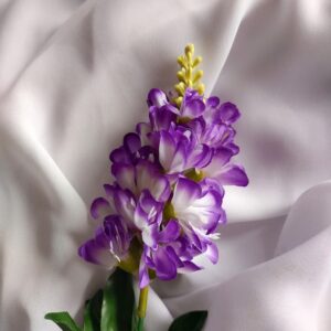 Łubin biały fiolet z białym