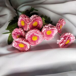 Stokrotka ciemny róż