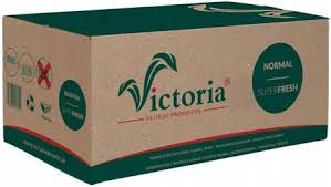 Gąbka florystyczna mokra- karton