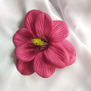 Magnolia ciemny róż