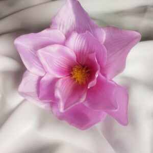 Magnolia różowa