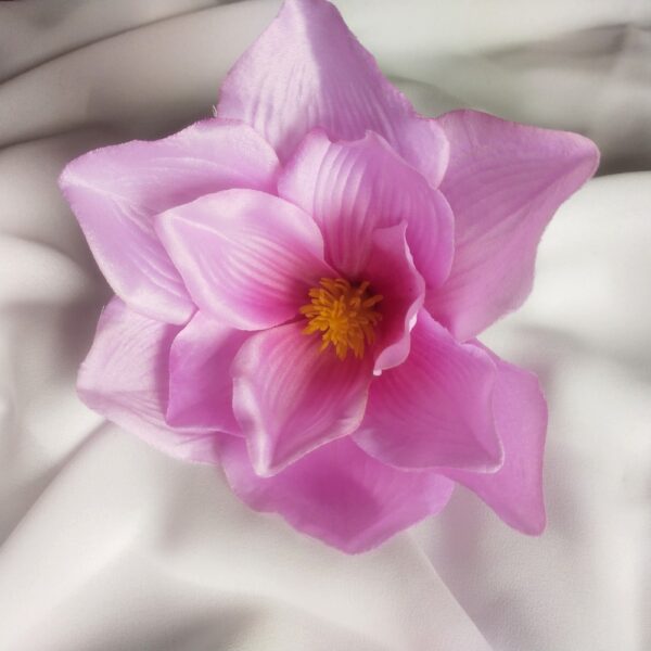 Magnolia różowa